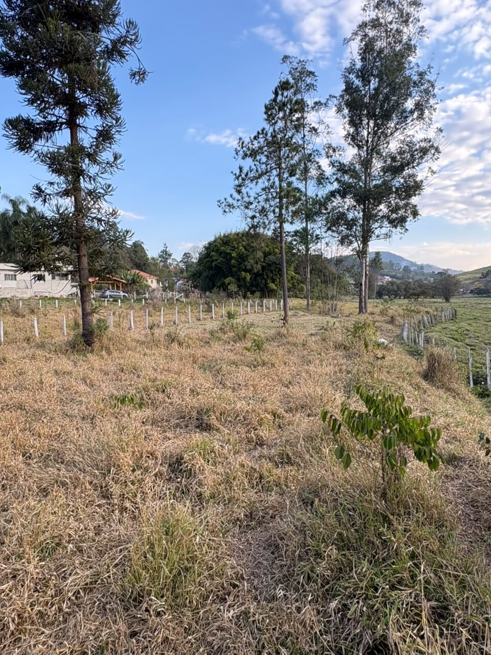 Lote para venda em Dom Viçoso Mg