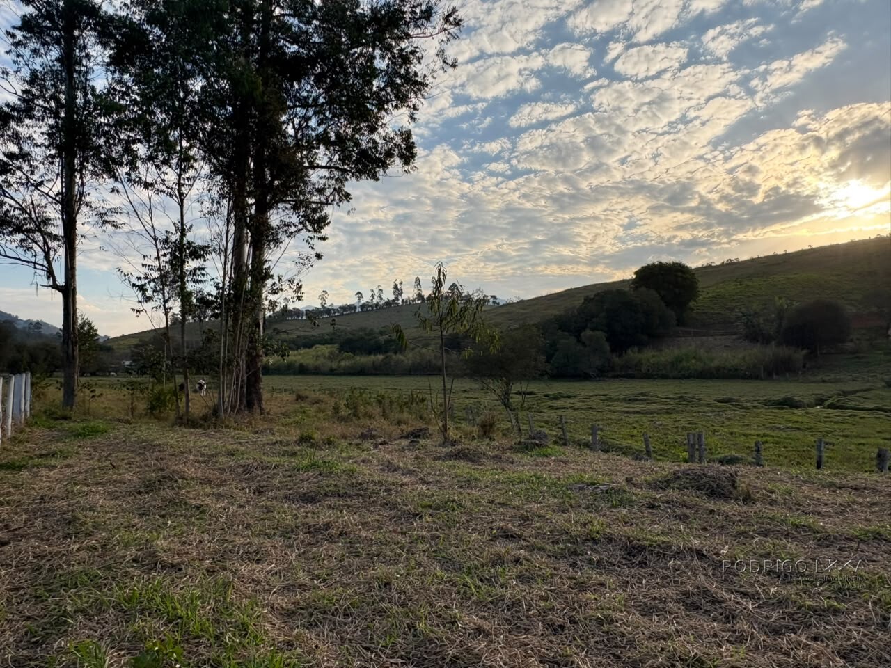 Lote para venda em Dom Viçoso Mg