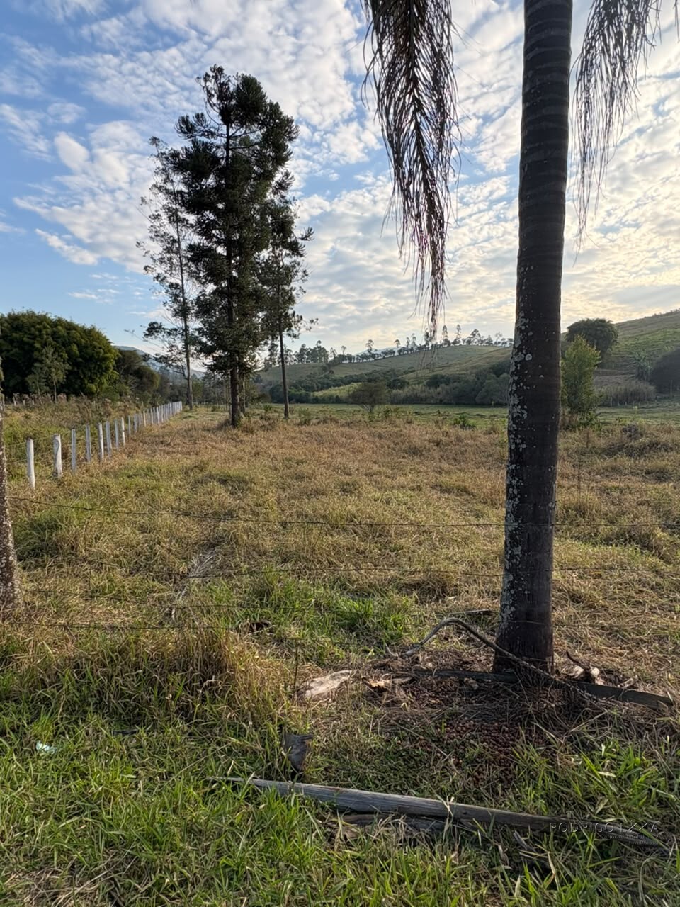 Lote para venda em Dom Viçoso Mg