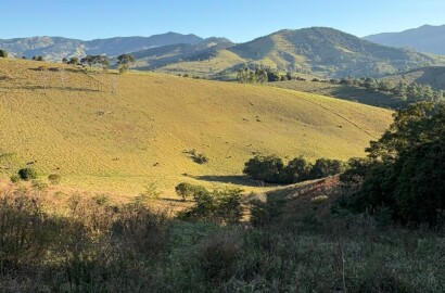 Área rural para venda em Dom Viçoso MG