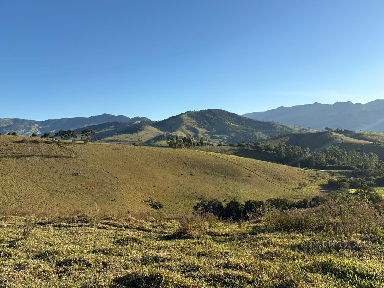 Área rural para venda em Dom Viçoso MG