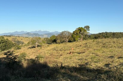 Área rural para venda em Dom Viçoso MG