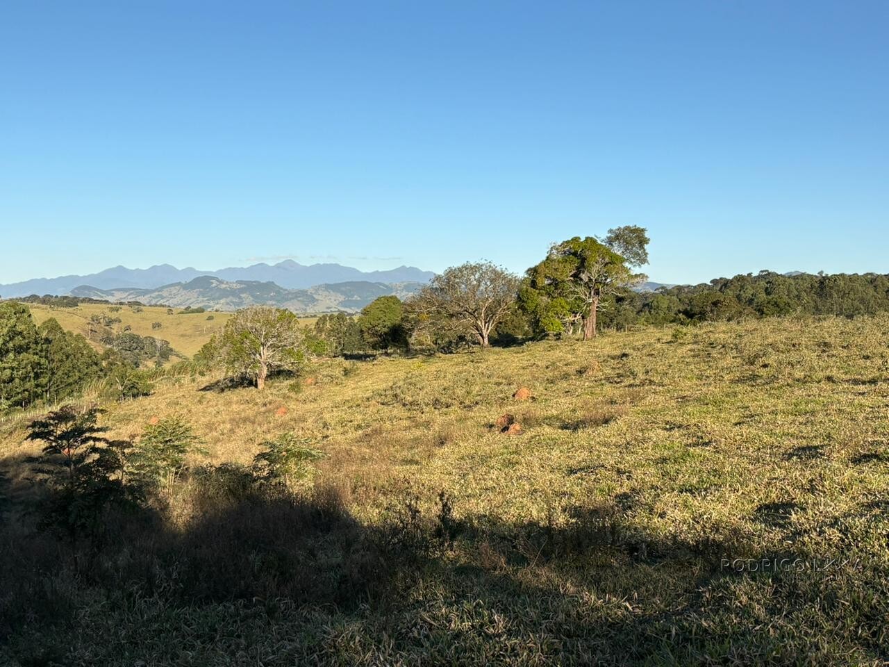 Área rural para venda em Dom Viçoso MG