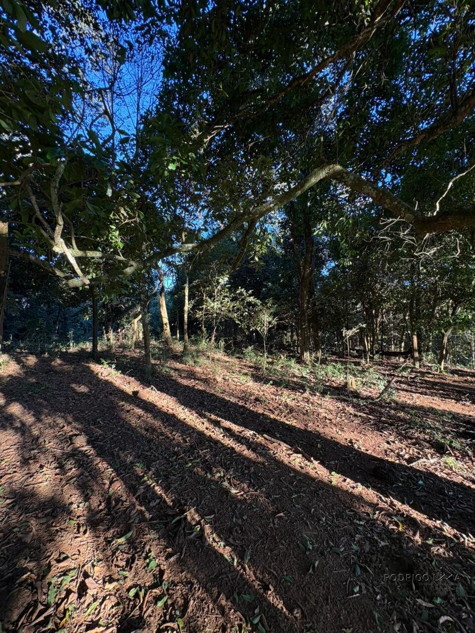Área rural para venda em Dom Viçoso MG