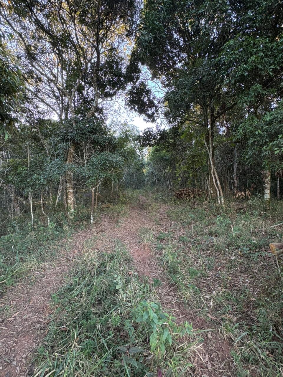 Área rural para venda em Dom Viçoso MG