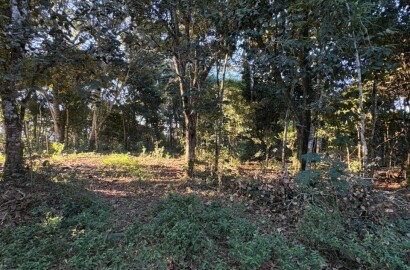Área rural para venda em Dom Viçoso MG
