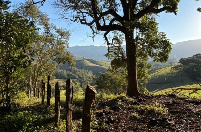Área rural para venda em Dom Viçoso MG