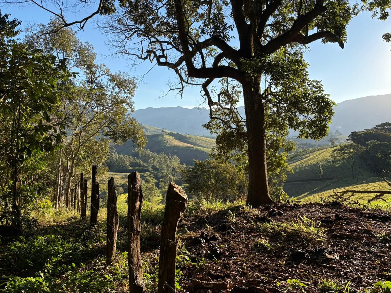 Área rural para venda em Dom Viçoso MG