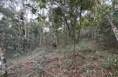 Área rural para venda em Dom Viçoso MG