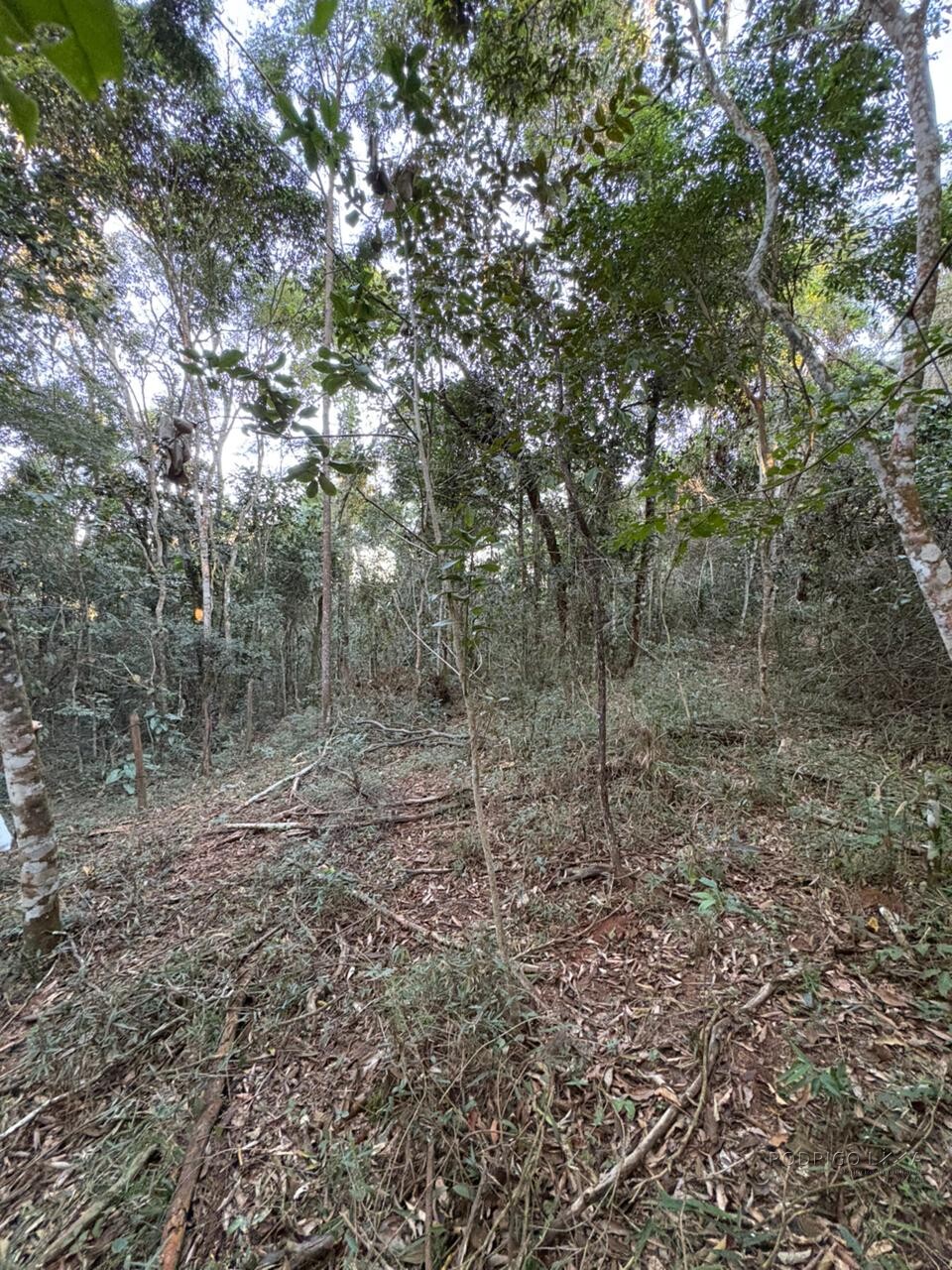 Área rural para venda em Dom Viçoso MG