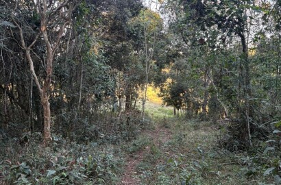 Área rural para venda em Dom Viçoso MG