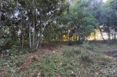 Área rural para venda em Dom Viçoso MG