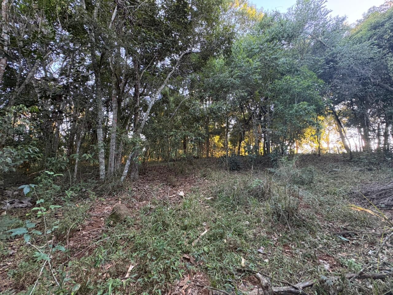 Área rural para venda em Dom Viçoso MG