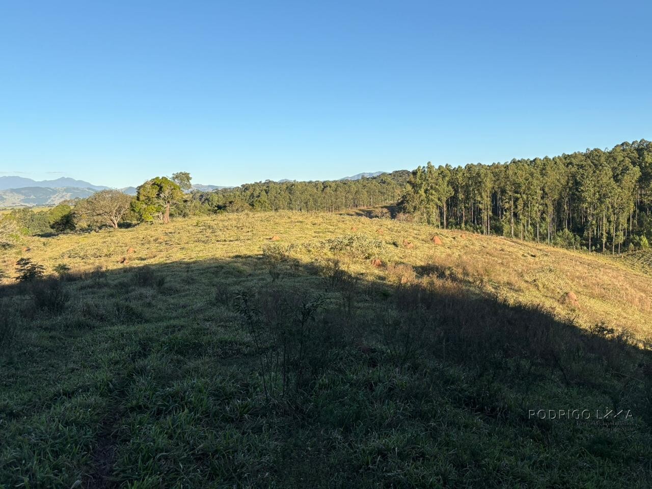 Área rural para venda em Dom Viçoso MG