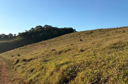 Área rural para venda em Dom Viçoso MG