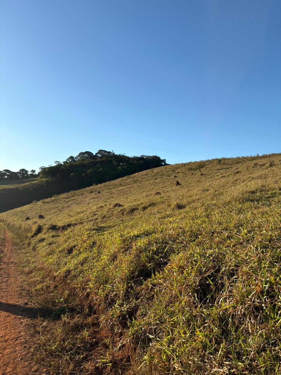 Área rural para venda em Dom Viçoso MG