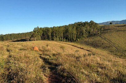 Área rural para venda em Dom Viçoso MG