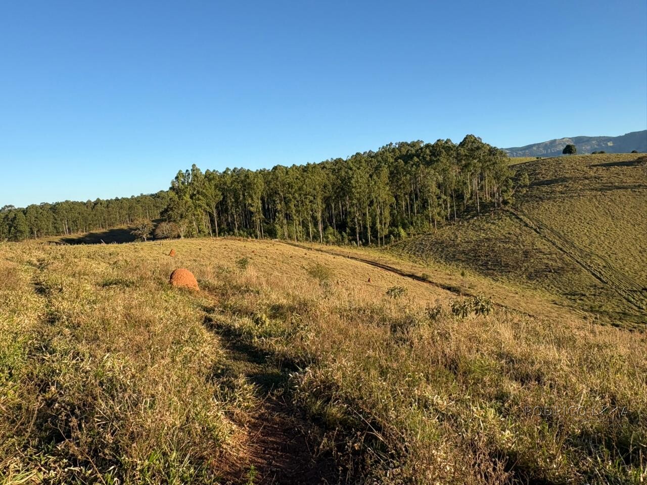 Área rural para venda em Dom Viçoso MG