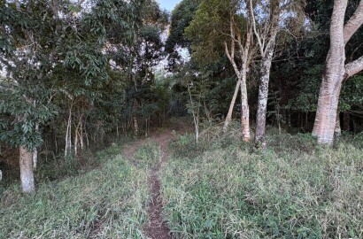 Área rural para venda em Dom Viçoso MG