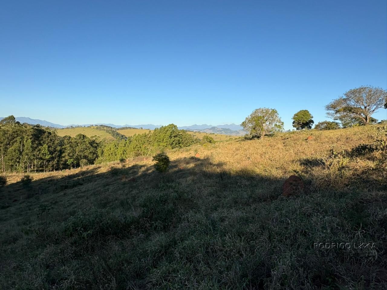 Área rural para venda em Dom Viçoso MG