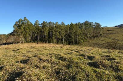 Área rural para venda em Dom Viçoso MG