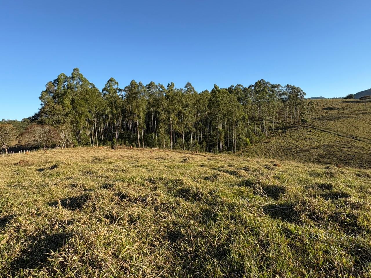 Área rural para venda em Dom Viçoso MG