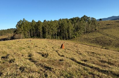 Área rural para venda em Dom Viçoso MG