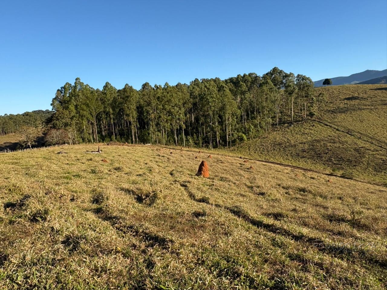 Área rural para venda em Dom Viçoso MG