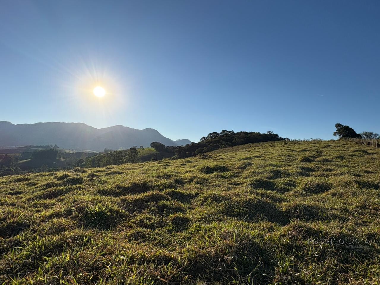 Área rural para venda em Dom Viçoso MG