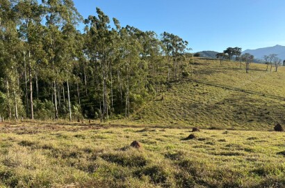 Área rural para venda em Dom Viçoso MG