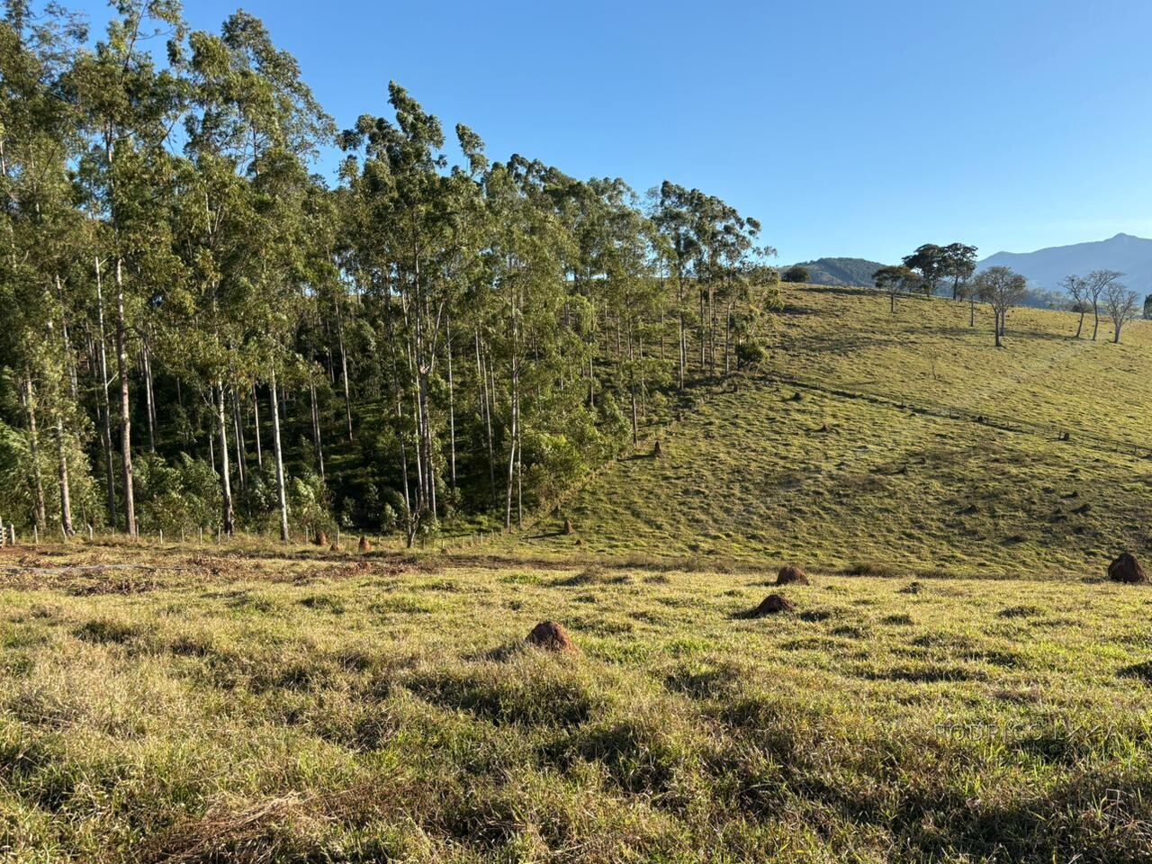 Área rural para venda em Dom Viçoso MG