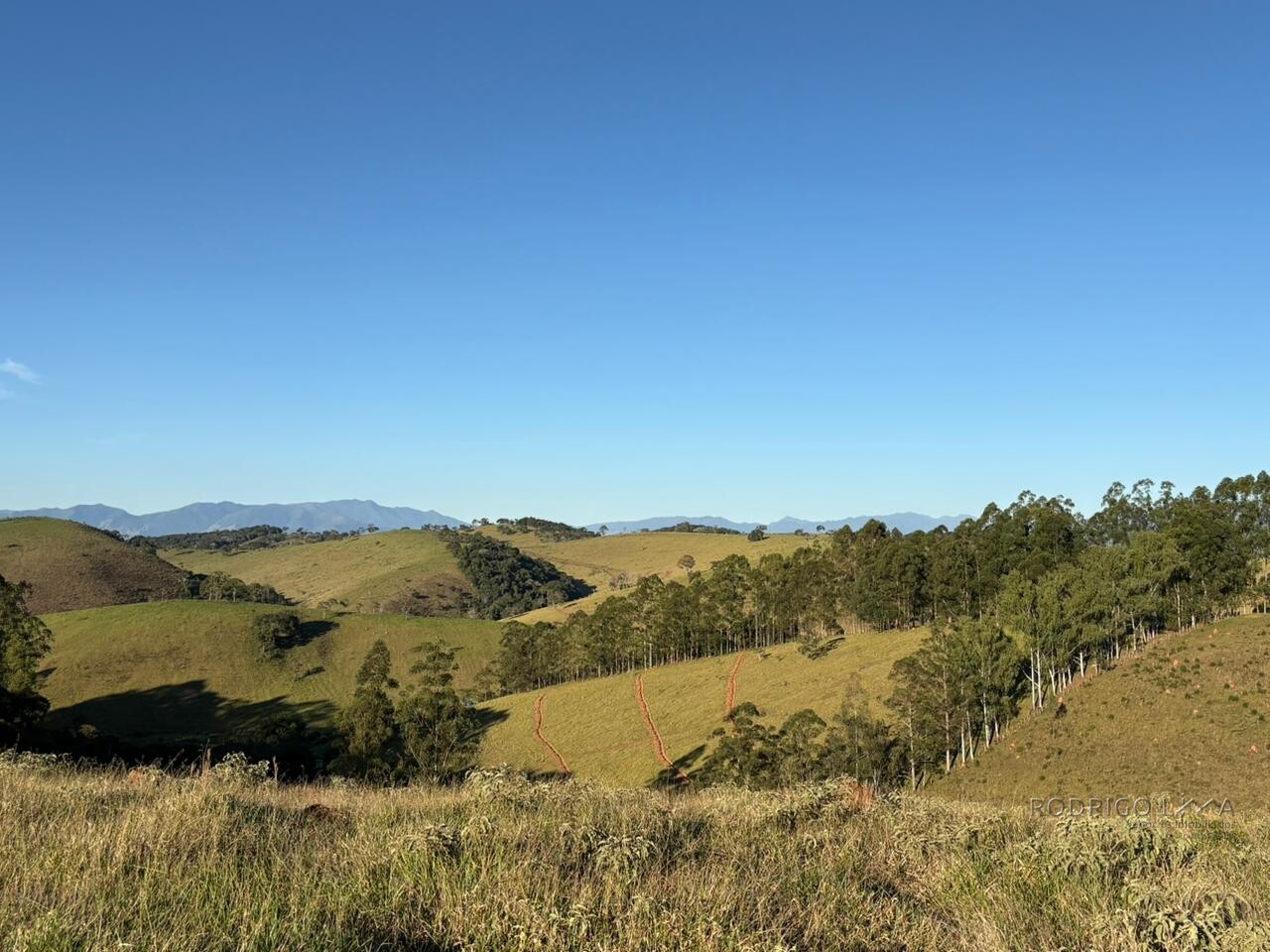 Área rural para venda em Dom Viçoso MG
