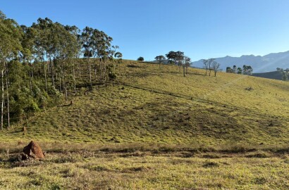Área rural para venda em Dom Viçoso MG
