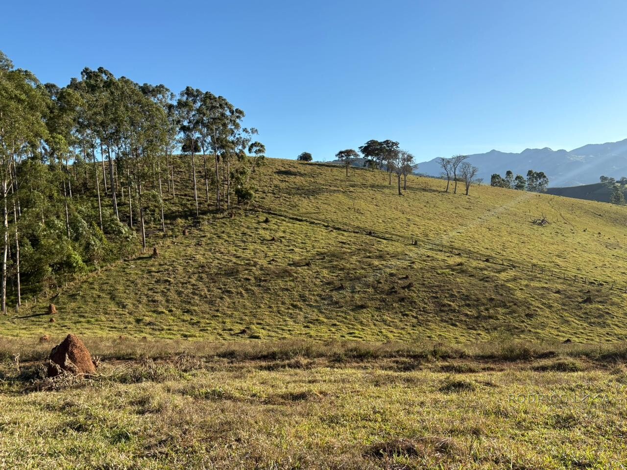 Área rural para venda em Dom Viçoso MG
