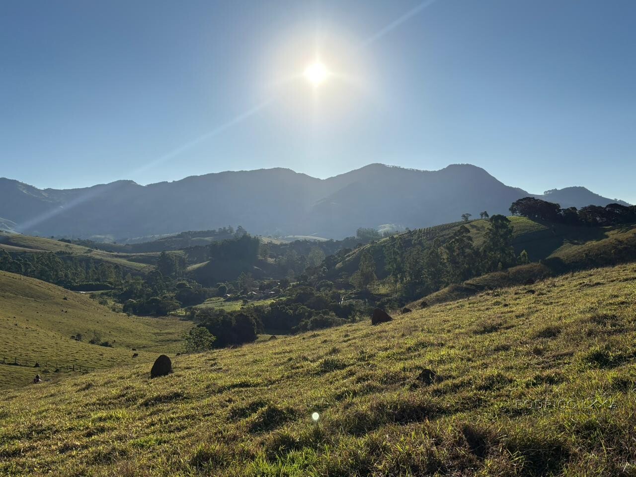 Área rural para venda em Dom Viçoso MG