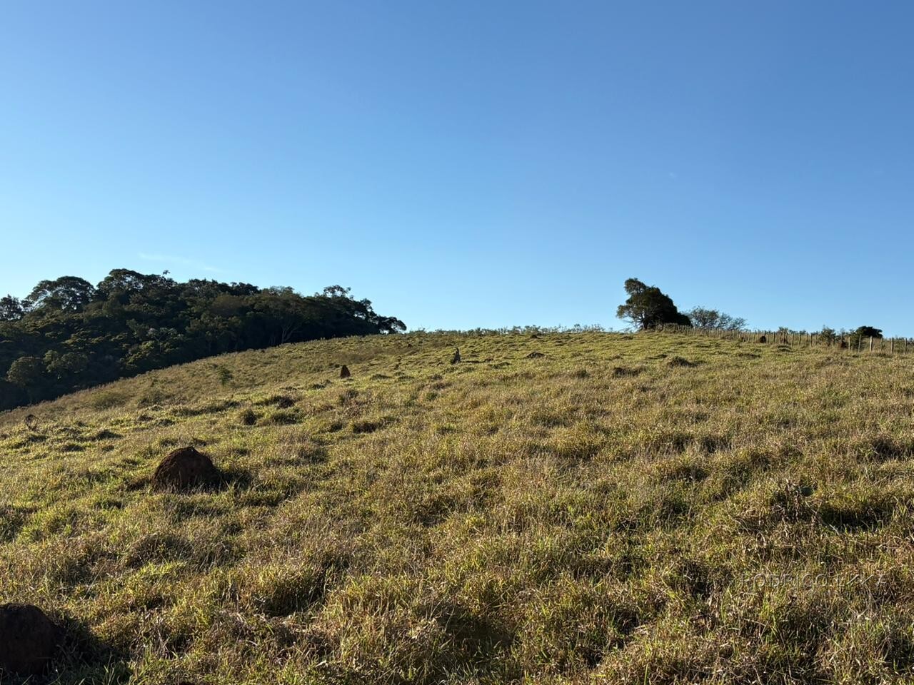 Área rural para venda em Dom Viçoso MG