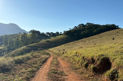 Área rural para venda em Dom Viçoso MG