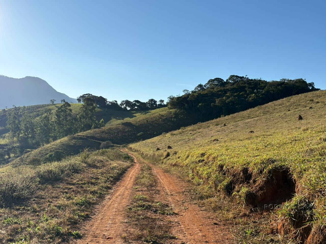 Área rural para venda em Dom Viçoso MG