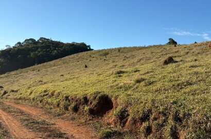 Área rural para venda em Dom Viçoso MG