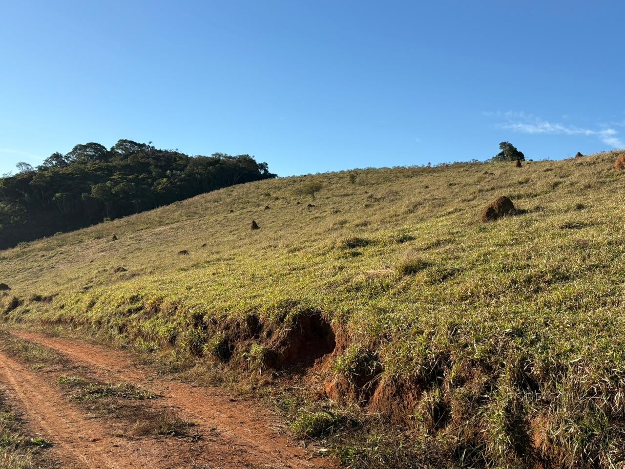 Área rural para venda em Dom Viçoso MG