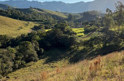Área rural para venda em Dom Viçoso MG