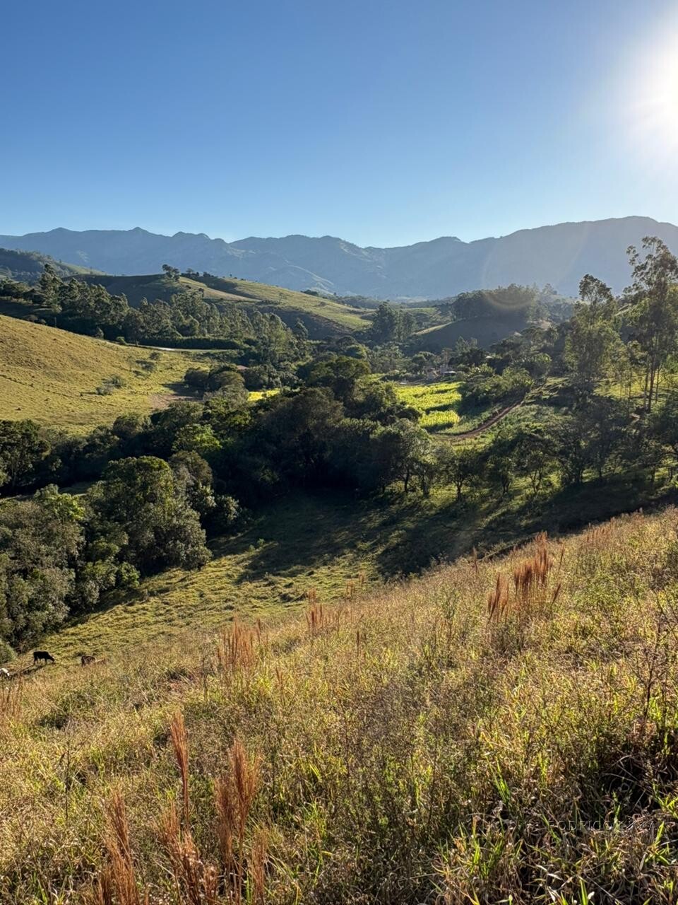 Área rural para venda em Dom Viçoso MG