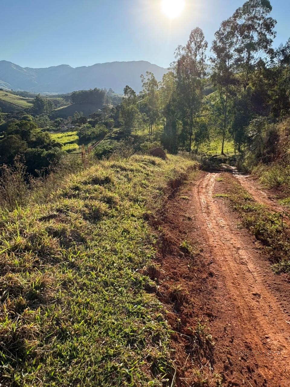 Área rural para venda em Dom Viçoso MG