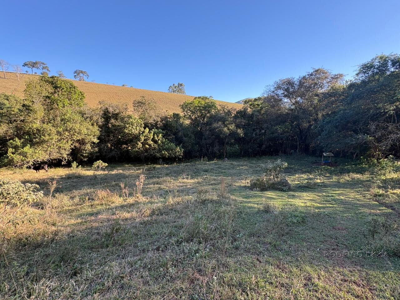 Área rural para venda em Dom Viçoso MG