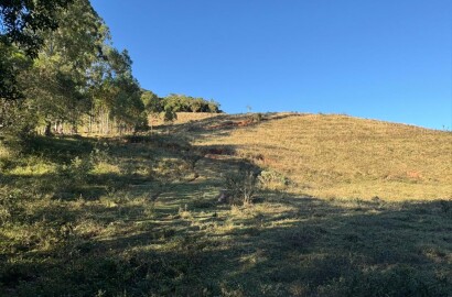 Área rural para venda em Dom Viçoso MG