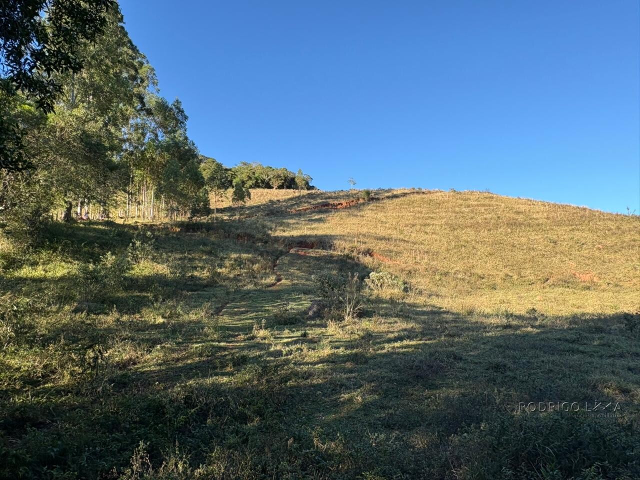 Área rural para venda em Dom Viçoso MG