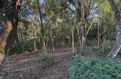 Área rural para venda em Dom Viçoso MG