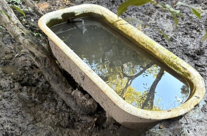Área rural para venda em Dom Viçoso MG