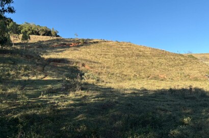Área rural para venda em Dom Viçoso MG