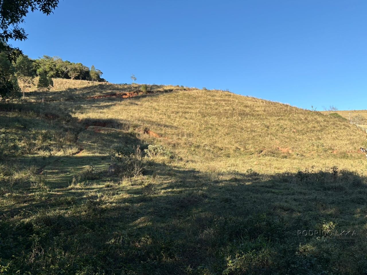 Área rural para venda em Dom Viçoso MG
